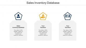 Sales Inventory Database Ppt Powerpoint Presentation Infographic Template Ideas Cpb