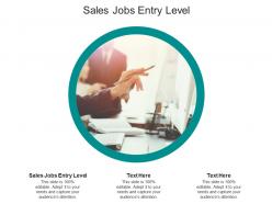 Sales jobs entry level ppt powerpoint presentation layouts graphics pictures cpb