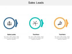 Sales leads ppt powerpoint presentation slides graphics template cpb