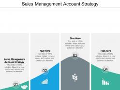 Sales management account strategy ppt powerpoint presentation show layout ideas cpb