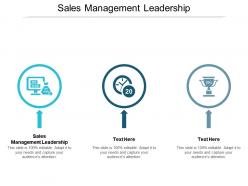 Sales management leadership ppt powerpoint presentation summary examples cpb