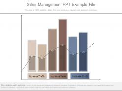 Sales Management Ppt Example File