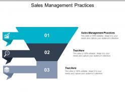 Sales management practices ppt powerpoint presentation ideas portrait cpb