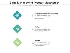 Sales management process management ppt powerpoint presentation layouts graphics cpb