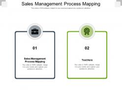 Sales management process mapping ppt powerpoint presentation slides vector cpb