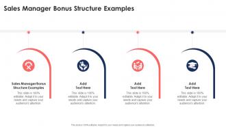 Sales Manager Bonus Structure Examples In Powerpoint And Google Slides Cpb