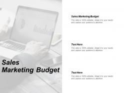 Sales marketing budget ppt powerpoint presentation gallery show cpb