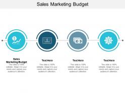 Sales marketing budget ppt powerpoint presentation show ideas cpb