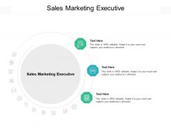 Sales marketing executive ppt powerpoint presentation inspiration microsoft cpb