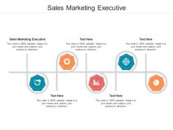 Sales marketing executive ppt powerpoint presentation slides elements cpb