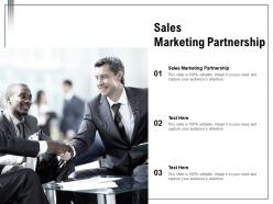 Sales marketing partnership ppt powerpoint presentation ideas background images cpb