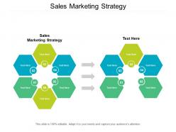 Sales marketing strategy ppt powerpoint presentation file professional cpb