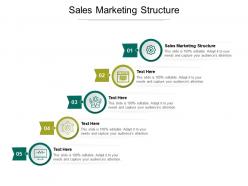 Sales marketing structure ppt powerpoint presentation portfolio infographics cpb