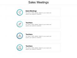 Sales meetings ppt powerpoint presentation infographic template design templates cpb