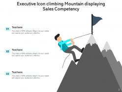 Sales Mountain Executive Planning Roadmap Financial Target Revenue