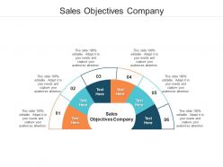 Sales objectives company ppt powerpoint presentation professional slideshow cpb