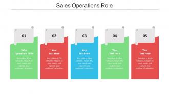 Sales Operations Role Ppt Powerpoint Presentation Gallery Backgrounds Cpb