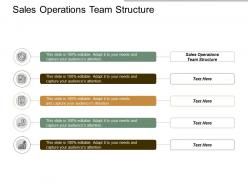 Sales operations team structure ppt powerpoint presentation guidelines cpb