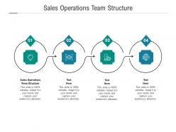 Sales operations team structure ppt powerpoint presentation icon clipart cpb