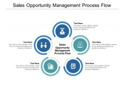 Sales opportunity management process flow ppt powerpoint slides cpb