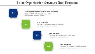 Sales Organization Structure Best Practices Ppt Powerpoint Presentation File Cpb