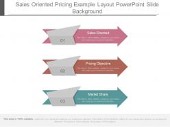 Sales oriented pricing example layout powerpoint slide background
