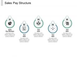 Sales pay structure ppt powerpoint presentation infographics example file cpb