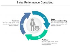 Sales performance consulting ppt powerpoint presentation example file cpb