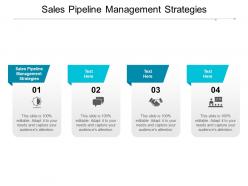 Sales pipeline management strategies ppt powerpoint presentation infographic cpb