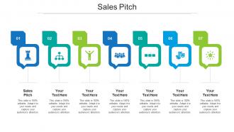 Sales Pitch Ppt Powerpoint Presentation Show Icon Cpb