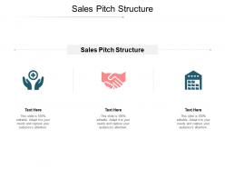 Sales pitch structure ppt powerpoint presentation gallery structure cpb