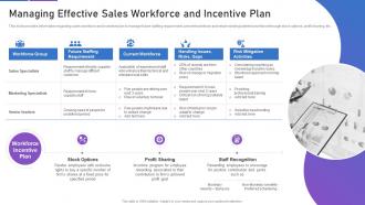 Sales playbook template managing effective sales workforce and incentive plan