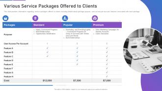 Sales playbook template various service packages offered to clients