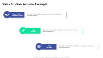 Sales Position Resume Example In Powerpoint And Google Slides Cpb