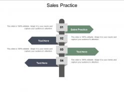 Sales practice ppt powerpoint presentation portfolio cpb