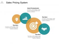 Sales pricing system ppt slides template cpb