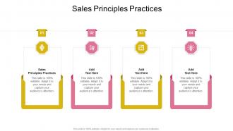 Sales Principles Practices In Powerpoint And Google Slides Cpb