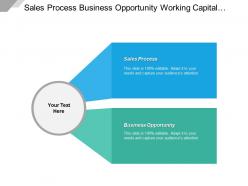 Sales process business opportunity working capital social media cpb
