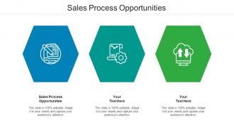 Sales Process Opportunities Ppt Powerpoint Presentation File Rules Cpb