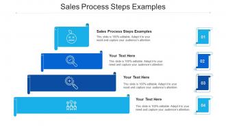 Sales process steps examples ppt powerpoint presentation infographics example cpb