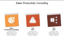 Sales productivity consulting ppt powerpoint presentation ideas themes cpb