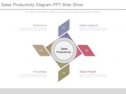 Sales Productivity Diagram Ppt Slide Show