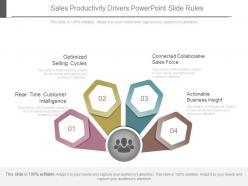 Sales Productivity Drivers Powerpoint Slide Rules