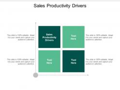 Sales productivity drivers ppt powerpoint presentation infographic template demonstration cpb