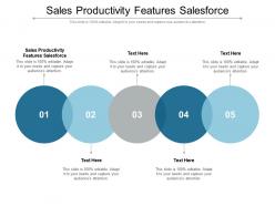 Sales productivity features salesforce ppt powerpoint presentation images cpb