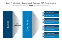 Sales productivity framework example ppt presentation
