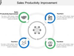 Sales productivity improvement ppt powerpoint presentation styles example cpb