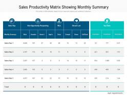 Sales Productivity Matrix Showing Monthly Summary