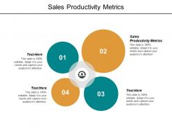 Sales productivity metrics ppt powerpoint presentation file maker cpb