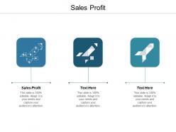 Sales profit ppt powerpoint presentation infographic template sample cpb